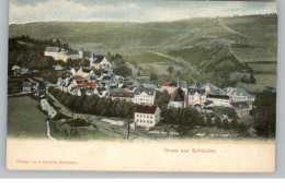 5372 SCHLEIDEN, Blick über Den Ort, Ca. 1905, Handcoloriert, Verlag Krahler - Schleiden