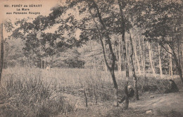 Foret De Senart La Mare Aux Poissons Rouges - Sénart