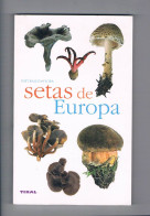 Setas De Europa Tikal - Andere & Zonder Classificatie