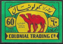  Phillumeny MATCHBOX LABEL Made In Poland, 1950’s/1960’s TWO CAMELS  3.5 X 5 Cm - Cajas De Cerillas - Etiquetas