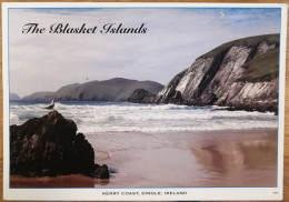 Kerry Coast, Dingle, Ireland, The Blasket Islands - Autres & Non Classés