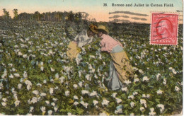 ROMEO AND JULIETA IN COTTON FIELD - New Orleans