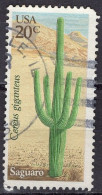 1981 20 Cents Cactus, Saguaro, Used - Usados