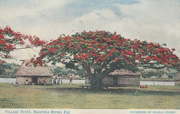 FIJI CHARLES STINSON COLOUR POSTCARD SIGATOKA RIVER - Fidschi