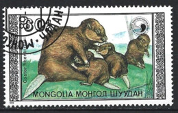 Mongolia 1989. Scott #1761 (U) Beaver (Castor Fiber Birulai) And Young - Mongolië