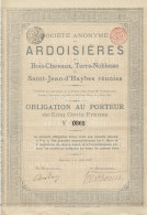 Obligation De 1888 - Société Anonyme Des Ardoisières De Bois-Chevaux, Terre Noblesse Et St-Jean-d'Haybes Réunies - Rare- - Mijnen