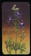Côte D'Or - Botanica - 1954 - 112 - Delphinium, Pied D'alouette Des Blés, Wilde Ridderspoor - Côte D'Or