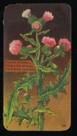 Côte D'Or - Botanica - 1954 - 120 - Cirsium, Cardon, Distel - Côte D'Or