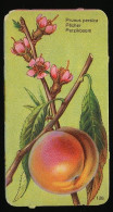 Côte D'Or - Botanica - 1954 - 126 - Prunus Persica, Pêchier, Perzik - Côte D'Or