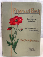 Pflanzenbuch Mit Farbigen Bildern. Ein Lehrbuch Der Botanik Zum Gebrauch Im Freien Und In Der Schule. - Nature