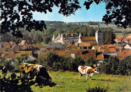 52 - Arc En Barrois - Vue Prise De La Motte - Arc En Barrois