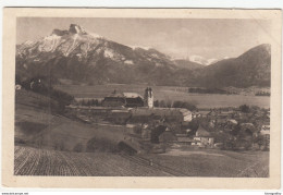 Mondsee Old Postcard Unused B170810 - Mondsee