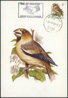 Carte-maximum (CM) - N°2189/90 Oiseaux (Buzin) - 1981-1990
