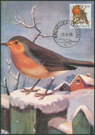 Carte-maximum (CM) - N°2223 Oiseaux (Buzin) - 1981-1990