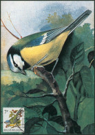 Carte-maximum (CM) - N°2261 Oiseaux (Buzin) - 1981-1990