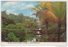 Garden Of The Groves, Feeport, Grand Bahama Old Postcard Travelled 1978 In Yugoslavia Bb160711 - Bahama's