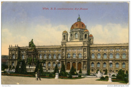 Wien K.K.Naturhistorisches Hof-Museum Postcard Travelled 1918 Bb151012 - Musea