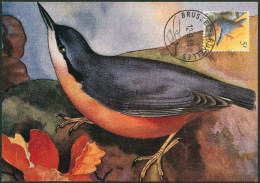 Carte-maximum (CM) - N°2294 Oiseaux (Buzin) / Incomplet - 1981-1990
