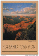 Yavapi Point Old Postcard Travelled 1985 Bb151102 - Grand Canyon