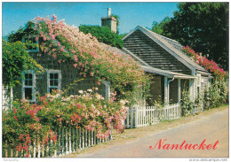 Nantucket Old Postcard Travelled 1995 Bb151102 - Nantucket