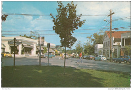 Woodstock, The Village Green And Business District Old Postcard Unused Bb151102 - Utica