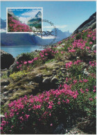 Greenland Maximum Card Mi 541 SEPAC - Scenery II - Mountains - Glaciers 2009 - Cartes-Maximum (CM)