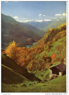 Blick Von Soglio In Das Tal Der Mera Old Unused Postcard Bb - Soglio