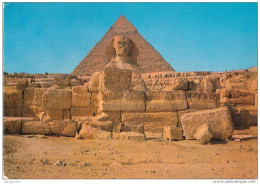 Giza, The Great Sphinx Old Postcard Travelled 1980 Bb160201 - Gizeh