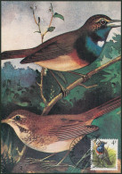 Carte-maximum (CM) - N°2321 Oiseaux (Buzin) - 1981-1990