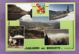 88 SAULXURES Sur MOSELOTTE Multivues L'étang Des Fées Le Kiosque Neige Et Brume Sympa Saulxures ! Blason - Saulxures Sur Moselotte