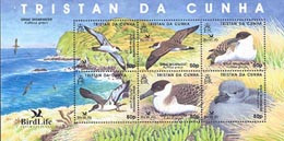 TRISTAN DA CUNHA 2007 - Birdlife - Le Grand Puffin - Bloc - Tristan Da Cunha