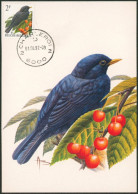 Carte-maximum (CM) - N°2458 Oiseaux (Buzin) - 1981-1990