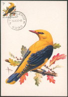 Carte-maximum (CM) - N°2476 Oiseaux (Buzin) - 1981-1990