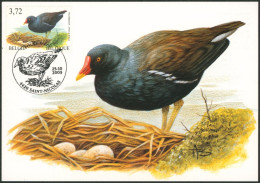 Carte-maximum (CM) - N°3212 Oiseaux (Buzin) - 2001-2010