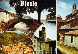 43 - Blesle - Multivues - Blesle