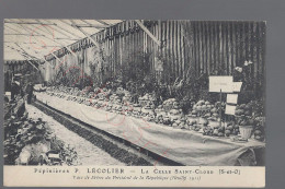 La Celle Saint-Cloud - Pépinières P. Lécolier - Postkaart - La Celle Saint Cloud