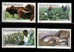 BOPHUTHATSWANA, 1979, MNH Stamp(s), Agriculture, Nr(s)  51-54 - Bophuthatswana