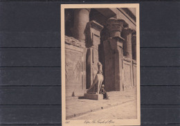 ÄGYPTEN - EGYPT- DYNASTIE- ÄGYPTOLOGIE- EDFU - TEMPEL OF HORUS- POST CARD- UNGEBRAUCHT - Sphynx