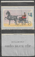 U.S.A HORSE CARRIAGE SHOW  VINTAGE Phillumeny MATCHBOX LABEL  1955 OHIO BLUE TIP MATCH CO. WADSWORTH OHIO  10 X 5.5 CM - Boites D'allumettes - Etiquettes