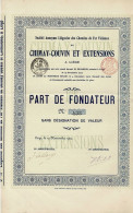 - Titre De 1902 - Société Anonyme Liégeoise Des Chemins De Fer Vicinaux  De Chimay-Couvin Et Extensions - A Liège - Rare - Railway & Tramway