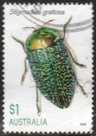 AUSTRALIA - USED 2016 $1.00 Jewel Beetles - Stigmodera Gratiosa - Used Stamps