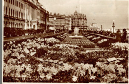 CPSM The Carpet Gardens Eastbourne - Eastbourne