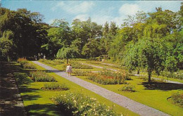 AK 167637 ENGLAND - Southport - Hesketh Park - Rose Gardens - Southport