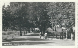 LEIGNON : Route D'Houyet - TRES RARE CPA - Cachet De La Poste 1959 - Ciney