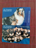 Dogs 2 Phonecards Mint 2 Photos Rare - Cani