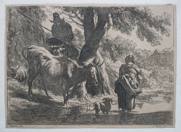 Jan De Visscher (1636-1693) Suite De 15 Planches - Tot De 18de Eeuw