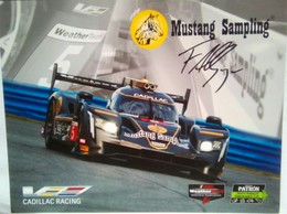 Mustang Filipe Albuquerque Signed - Autogramme