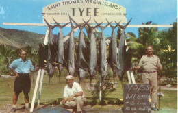 SAINT THOMAS VIRGIN ISLAND - TYEE - Jungferninseln, Amerik.