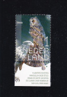 Netherlands Pays Bas 2020 Ransuil Long-eared Owl Asio Otus MNH** - Aigles & Rapaces Diurnes