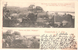 TESPERHUDE An Der Elbe Hotel Waldesruh + Fußweg Dorthin Niedersachsen Gelaufen 4.10.1904 - Lauenburg